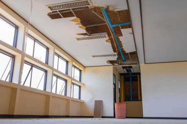 Best Emergency water damage restoration  in Wedgefield, FL