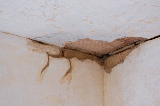 Water damage restoration experts in Wedgefield, FL