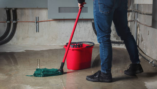  Wedgefield, FL Water damage restoration Pros