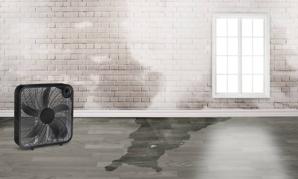 24/7 water damage repair in Wedgefield, FL