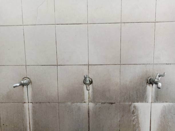 Best Residential water damage restoration  in Wedgefield, FL