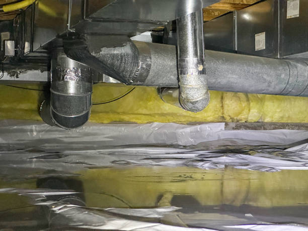 Best Water damage restoration near me  in Wedgefield, FL