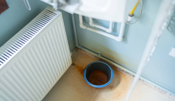 Best Carpet water damage restoration  in Wedgefield, FL