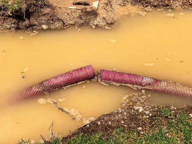 Best Water damage restoration near me  in Wedgefield, FL